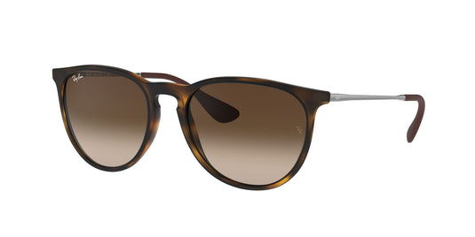 Ray-Ban RB4171 54 Ladies Sunglasses