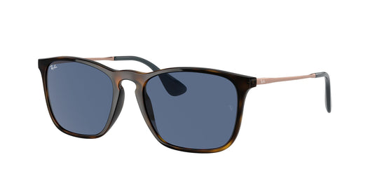 Ray-Ban RB4187 54 Gents Sunglasses