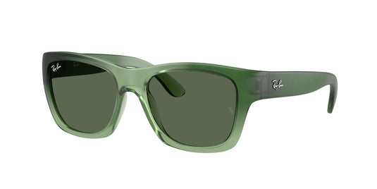 Ray-Ban RB4194 53 Unisex Sunglasses