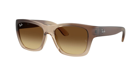 Ray-Ban RB4194 53 Unisex Sunglasses