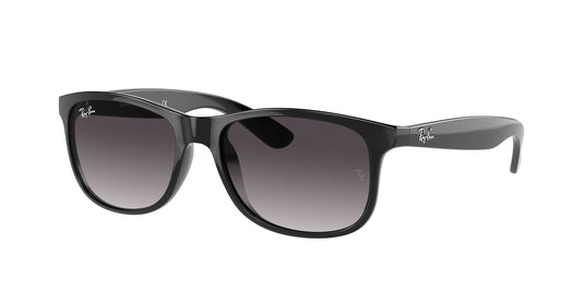 Ray-Ban RB4202 55 Gents Sunglasses