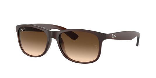 Ray-Ban RB4202 55 Gents Sunglasses