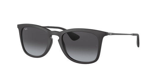 Ray-Ban RB4221 50 Unisex Sunglasses