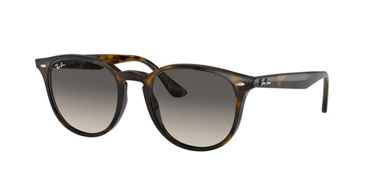 Ray-Ban RB4259 51 Unisex Sunglasses