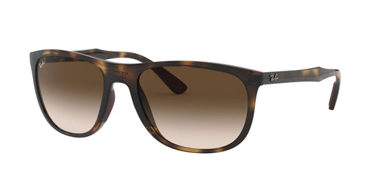 Ray-Ban RB4291 58 Gents Sunglasses