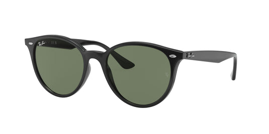 Ray-Ban RB4305 53 Unisex Sunglasses