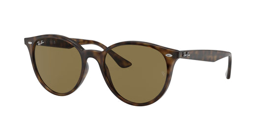 Ray-Ban RB4305 53 Unisex Sunglasses
