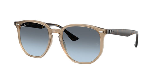 Ray-Ban RB4306 54 Unisex Sunglasses