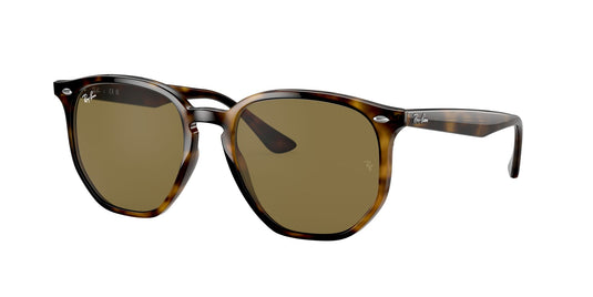 Ray-Ban RB4306 54 Unisex Sunglasses