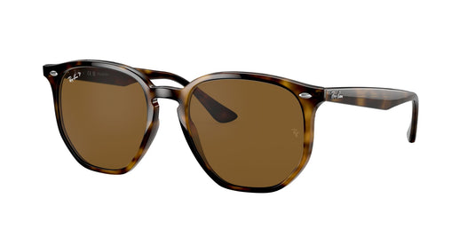 Ray-Ban RB4306 54 Unisex Sunglasses