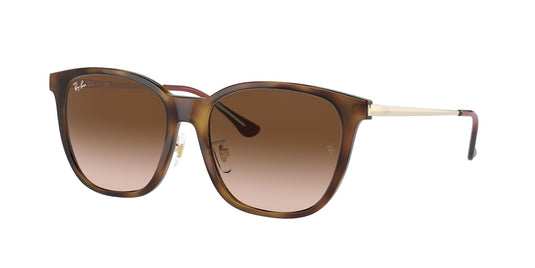 Ray-Ban RB4333D 55 Unisex Sunglasses