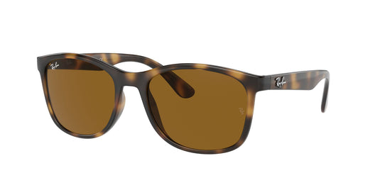 Ray-Ban RB4374 56 Unisex Sunglasses