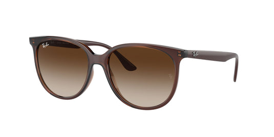 Ray-Ban RB4378L 54 Ladies Sunglasses