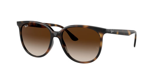 Ray-Ban RB4378 54 Ladies Sunglasses