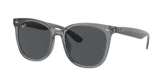Ray-Ban RB4379D 55 Unisex Sunglasses