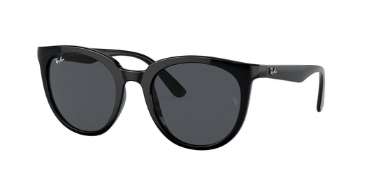 Ray-Ban RB4383L 53 Ladies Sunglasses