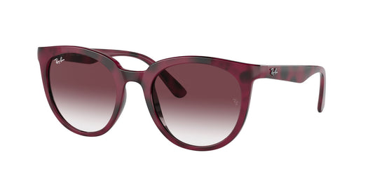 Ray-Ban RB4383L 53 Ladies Sunglasses