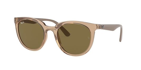 Ray-Ban RB4383L 53 Ladies Sunglasses