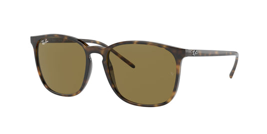 Ray-Ban RB4387 56 Unisex Sunglasses
