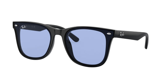 Ray-Ban RB4391D 65 Unisex Sunglasses