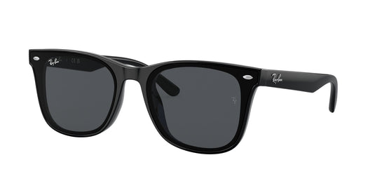 Ray-Ban RB4391D 65 Unisex Sunglasses