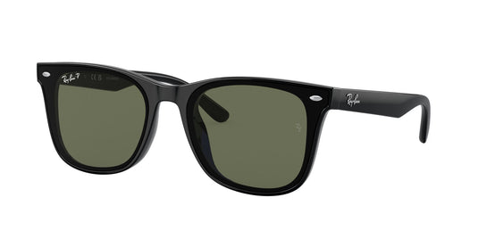 Ray-Ban RB4391D 65 Unisex Sunglasses