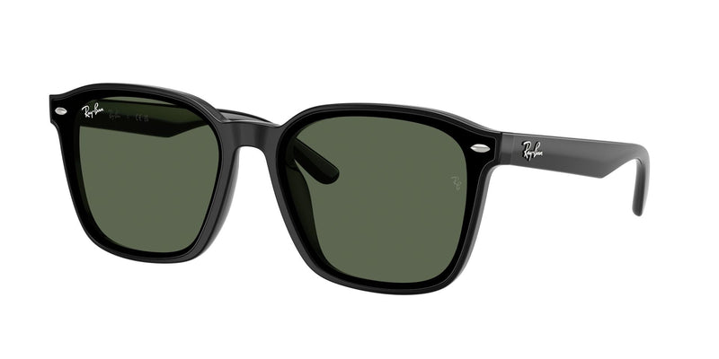 Load image into Gallery viewer, Ray-Ban RB4392D 66 Unisex Sunglasses
