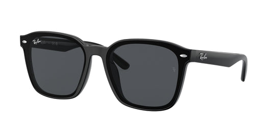 Ray-Ban RB4392D 66 Unisex Sunglasses