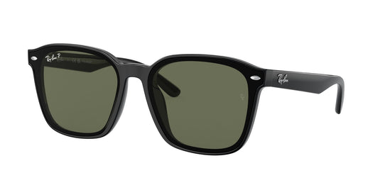 Ray-Ban RB4392D 66 Unisex Sunglasses