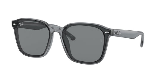 Ray-Ban RB4392D 66 Unisex Sunglasses
