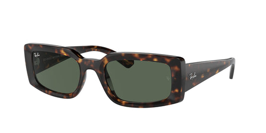 Ray-Ban RB4395 54 Unisex Sunglasses