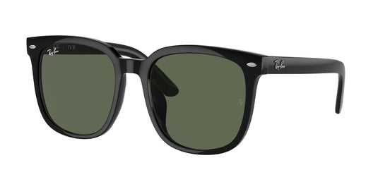 Ray-Ban RB4401D 57 Unisex Sunglasses