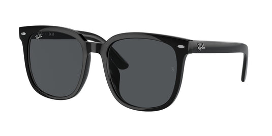 Ray-Ban RB4401D 55 Unisex Sunglasses