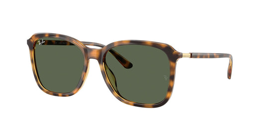 Ray-Ban RB4417L 55 Ladies Sunglasses