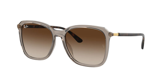 Ray-Ban RB4417L 55 Ladies Sunglasses