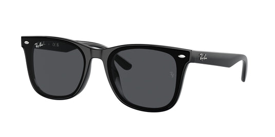 Ray-Ban RB4420 65 Unisex Sunglasses