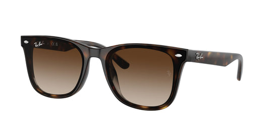 Ray-Ban RB4420 65 Unisex Sunglasses