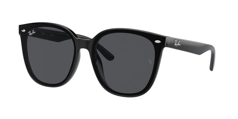 Load image into Gallery viewer, Ray-Ban RB4423D 66 Unisex Sunglasses
