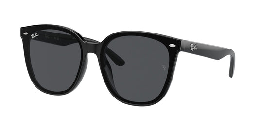 Ray-Ban RB4423D 66 Unisex Sunglasses