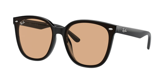 Ray-Ban RB4423D 66 Unisex Sunglasses