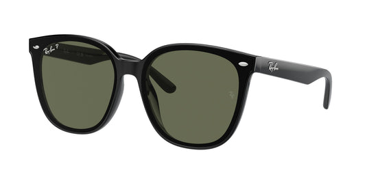 Ray-Ban RB4423D 66 Unisex Sunglasses