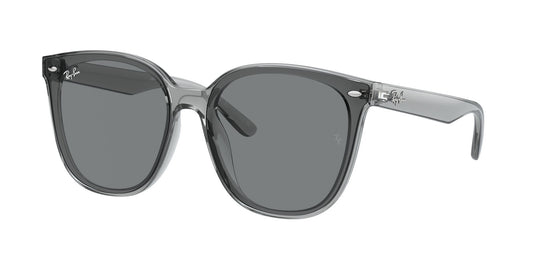 Ray-Ban RB4423D 66 Unisex Sunglasses