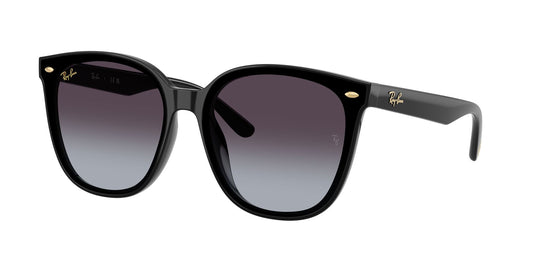 Ray-Ban RB4423D 66 Unisex Sunglasses