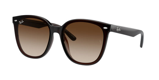 Ray-Ban RB4423D 66 Unisex Sunglasses
