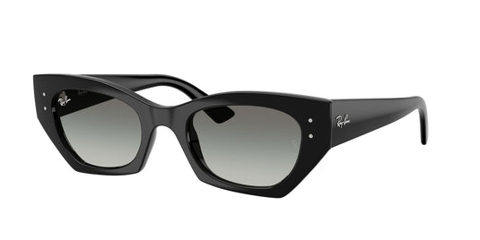 Ray-Ban RB4430 49 Unisex Sunglasses