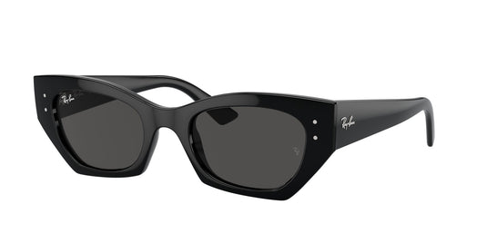 Ray-Ban RB4430 52 Unisex Sunglasses