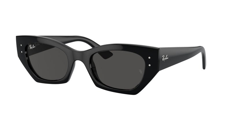 Load image into Gallery viewer, Ray-Ban RB4430 49 Unisex Sunglasses
