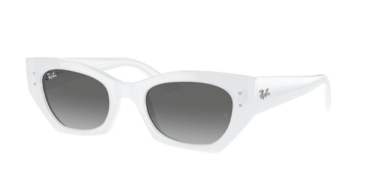 Ray-Ban RB4430 52 Unisex Sunglasses