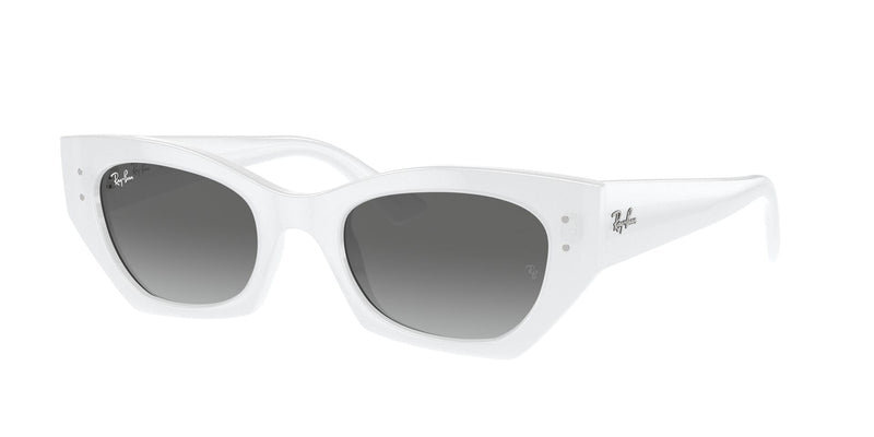 Load image into Gallery viewer, Ray-Ban RB4430 49 Unisex Sunglasses
