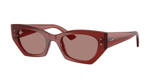Ray-Ban RB4430 49 Unisex Sunglasses